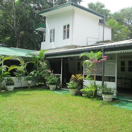 Levi'S Tourist - Anuradhapura Hotel Exterior photo