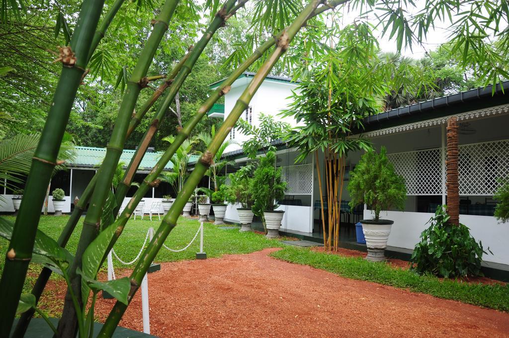 Levi'S Tourist - Anuradhapura Hotel Exterior photo