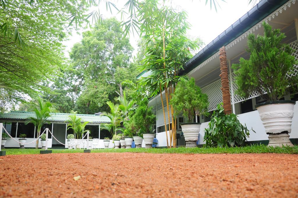 Levi'S Tourist - Anuradhapura Hotel Exterior photo