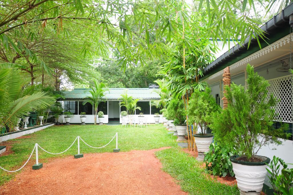 Levi'S Tourist - Anuradhapura Hotel Exterior photo